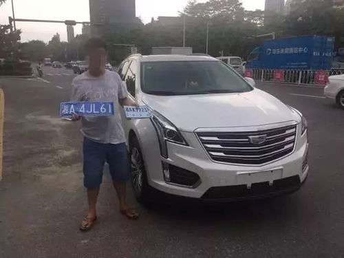 深圳铁骑有多少辆汽车