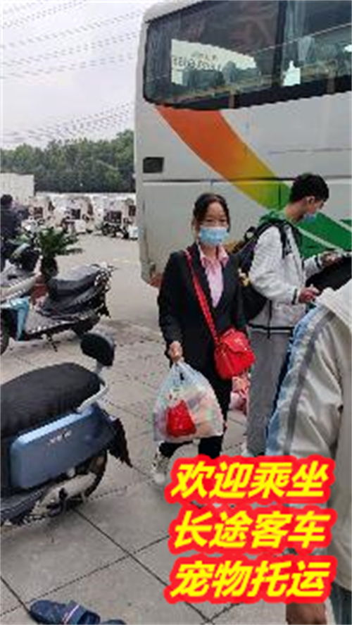 波阳到石狮汽车多少钱