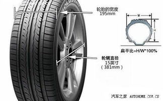 漯河汽车轮胎收费多少