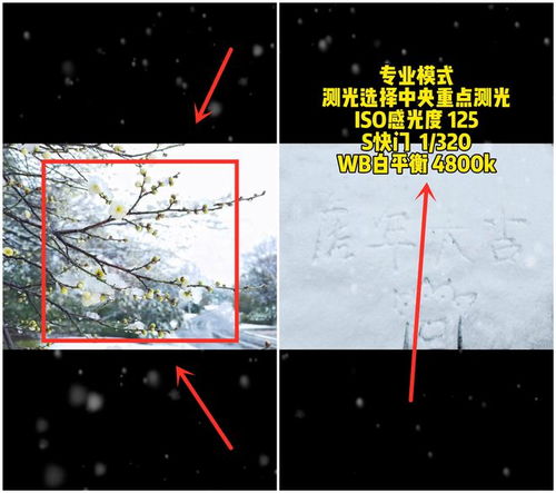 华为手机 怎么拍雪景