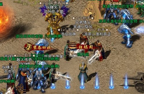 西藏游戏攻略 VS 2408游戏通关攻略
